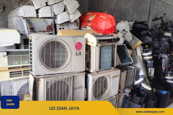 artikel ud dian jaya 1