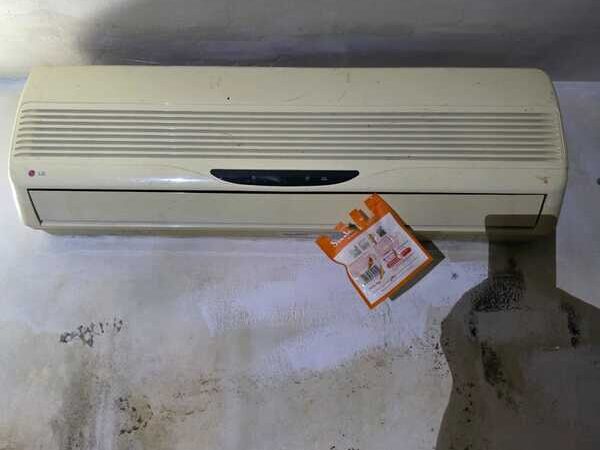 galeri ud dian jaya (47)